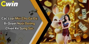 Các Loại Mồi Cho Gà Đá: Bí Quyết Nuôi Dưỡng Chiến Kê Sung Sức