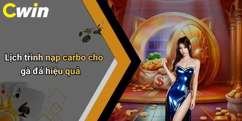 Lịch trình nạp carbo cho gà đá hiệu quả