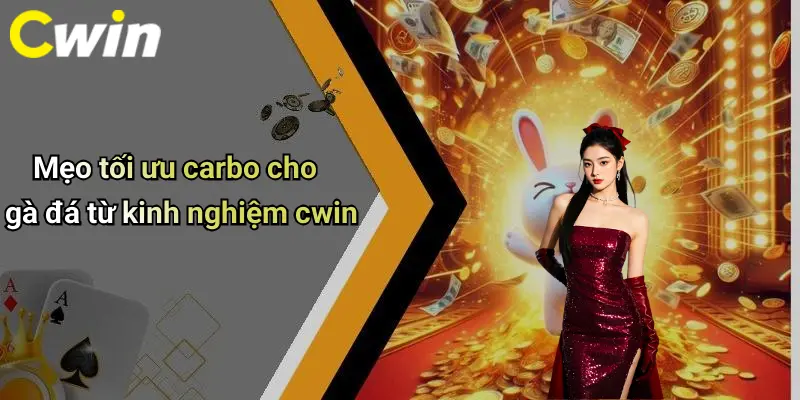 Mẹo tối ưu carbo cho gà đá từ kinh nghiệm cwin