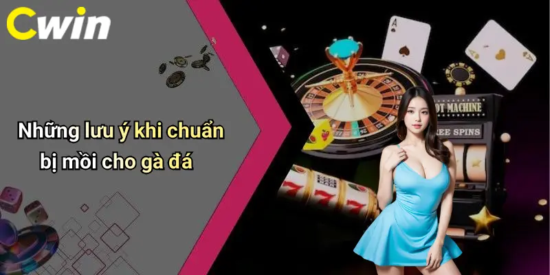 Những lưu ý khi chuẩn bị mồi cho gà đá