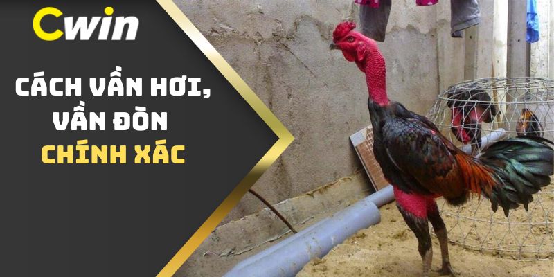 Cách vần hơi, vần đòn chính xác