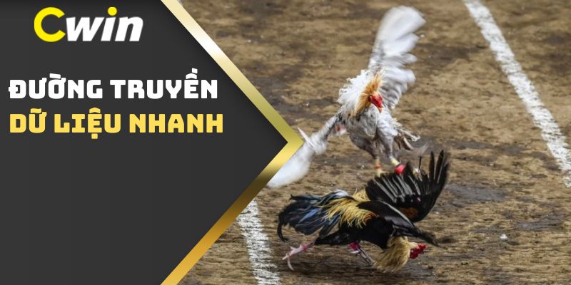 Đường truyền dữ liệu nhanh
