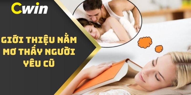 Giới thiệu nằm mơ thấy người yêu cũ