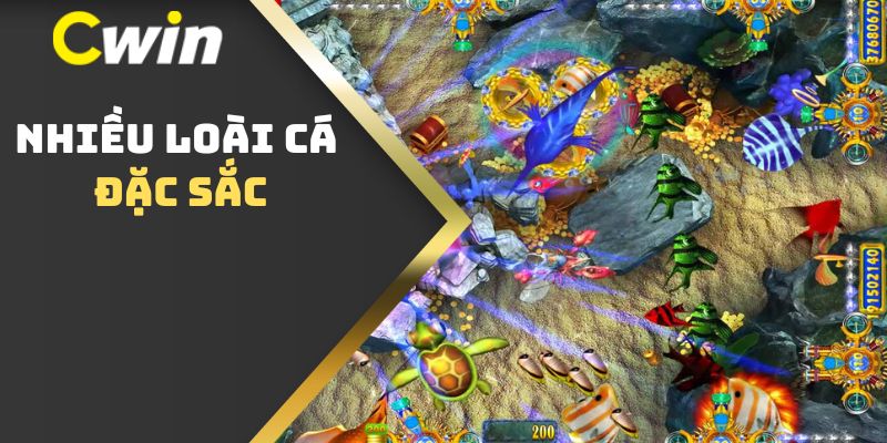 Nhiều loài cá đặc sắc 