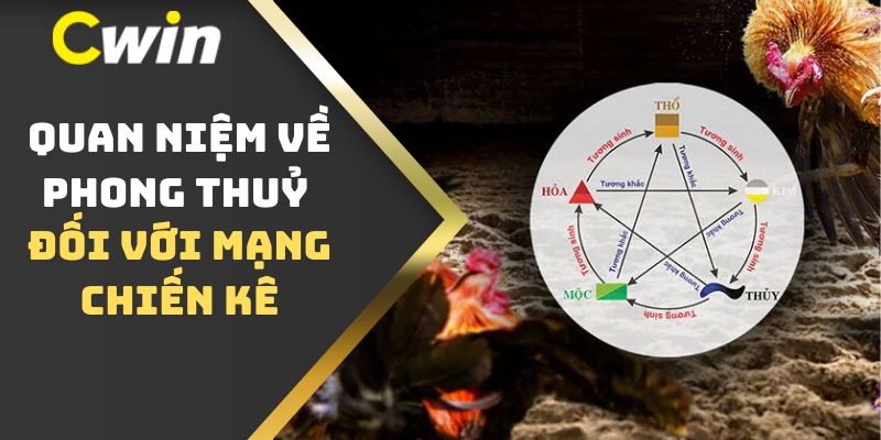 Quan niệm về phong thuỷ đối với mạng chiến kê