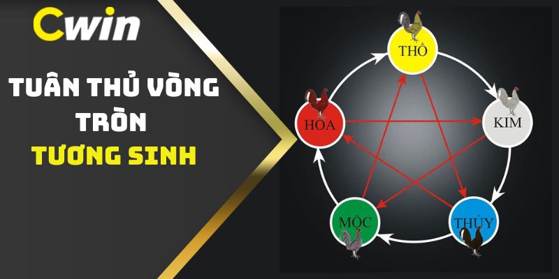 Tuân thủ vòng tròn Tương Sinh