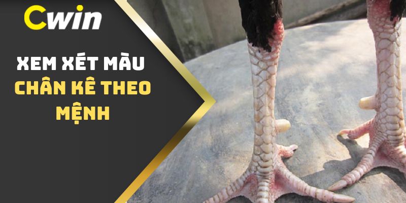 Xem xét màu chân kê theo mệnh